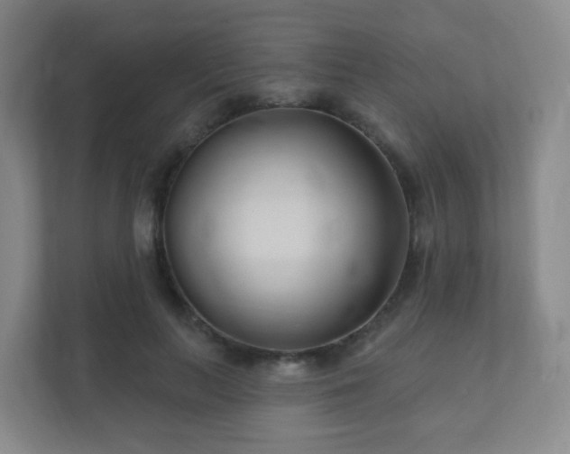 X0000112390647200908201543