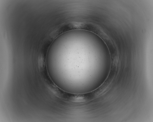 X0000112390651200908201543