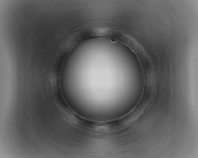 X0000112390653200908201543