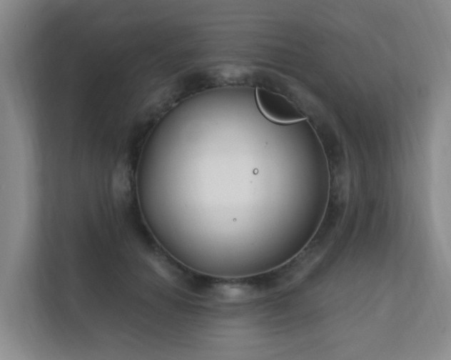 X0000112390654200908201543