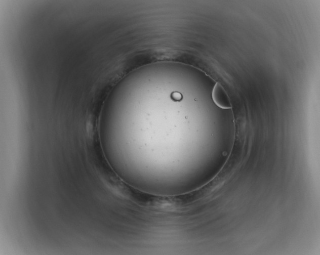 X0000112390655200908201543