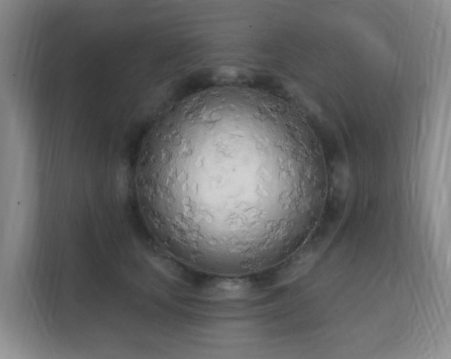 X0000112390659200908201543