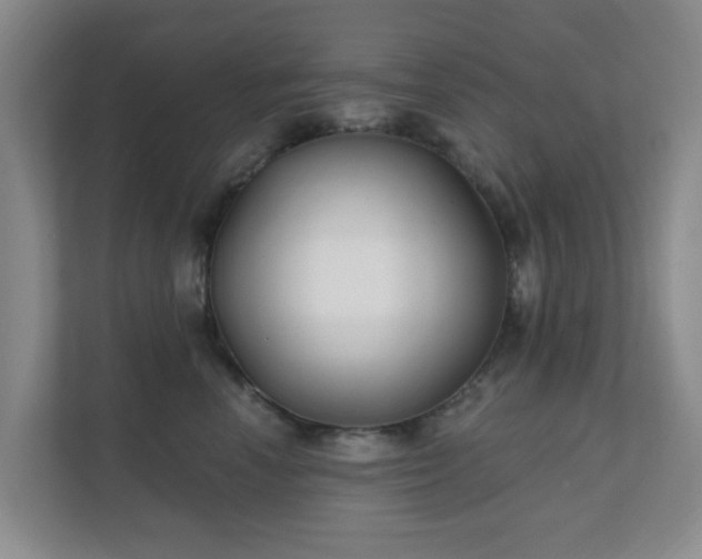 X0000112390666200908201543