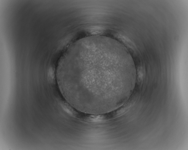 X0000112390667200908201543