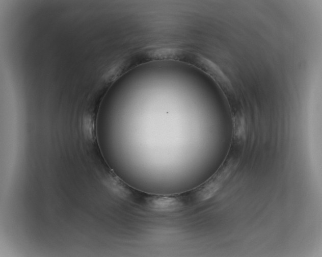 X0000112390669200908201543