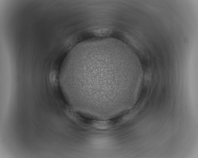 X0000112390671200908201543