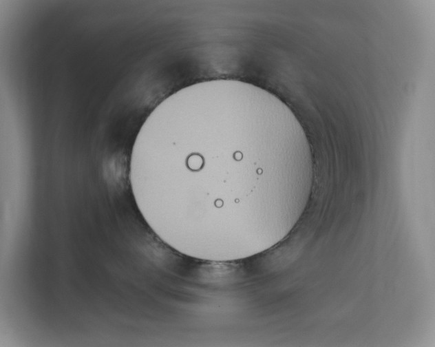 X0000112390672200908201543