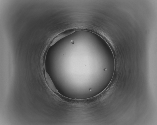 X0000112390673200908201543