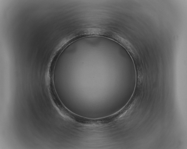 X0000112390674200908201543