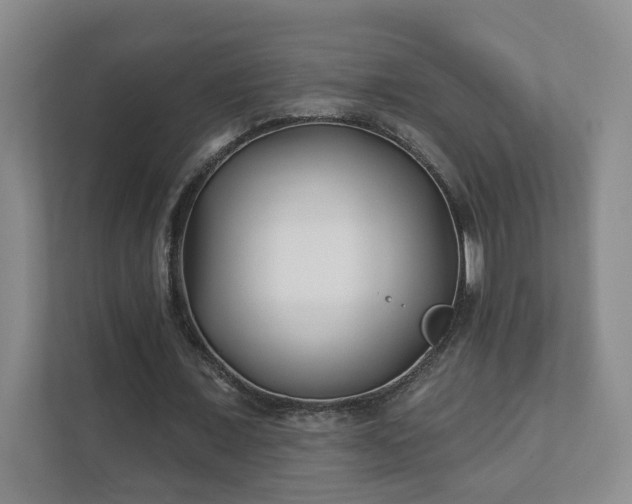 X0000112390675200908201543