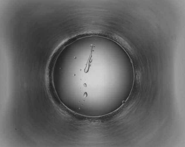 X0000112390676200908201543