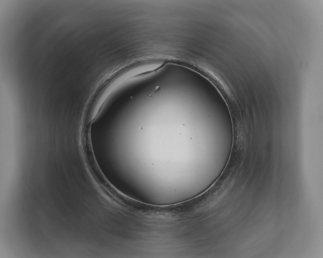 X0000112390677200908201543