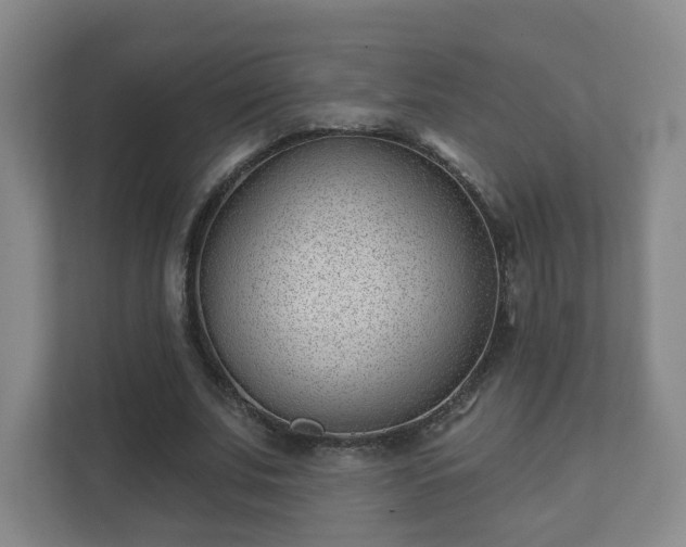 X0000112390679200908201543