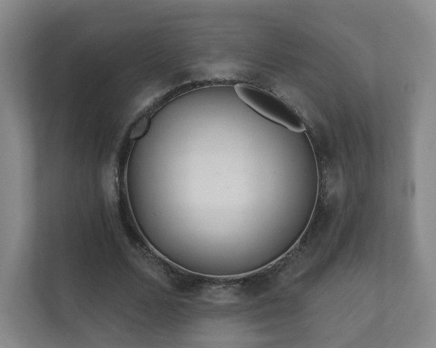 X0000112390680200908201543