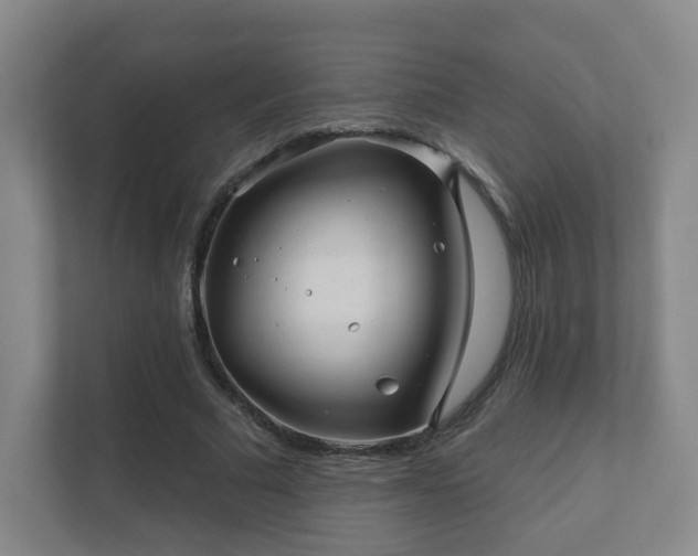 X0000112390681200908201543