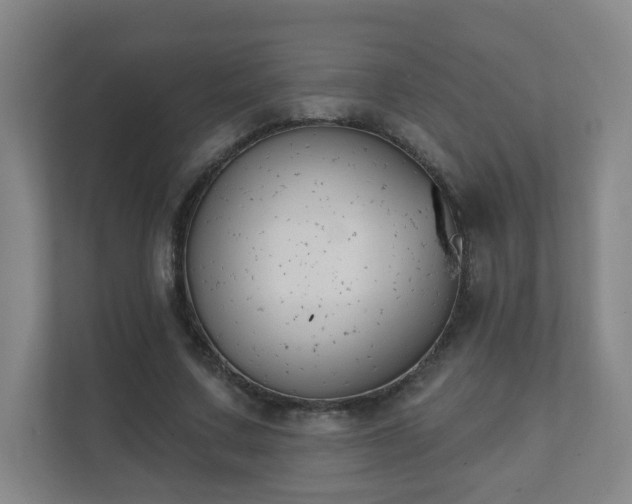 X0000112390683200908201543