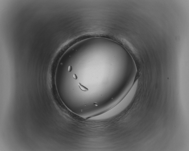 X0000112390684200908201542