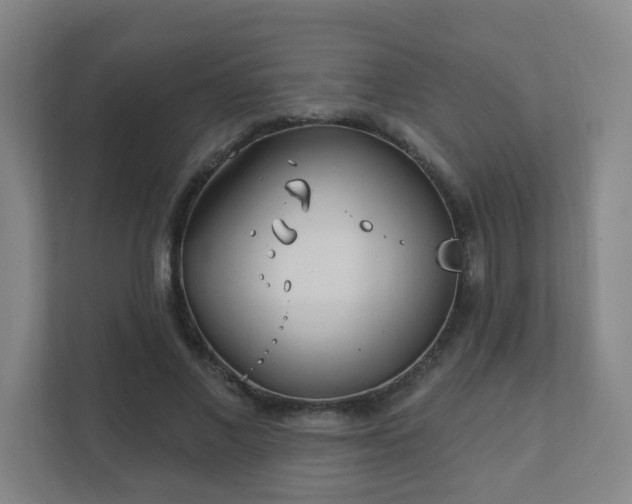 X0000112390685200908201542