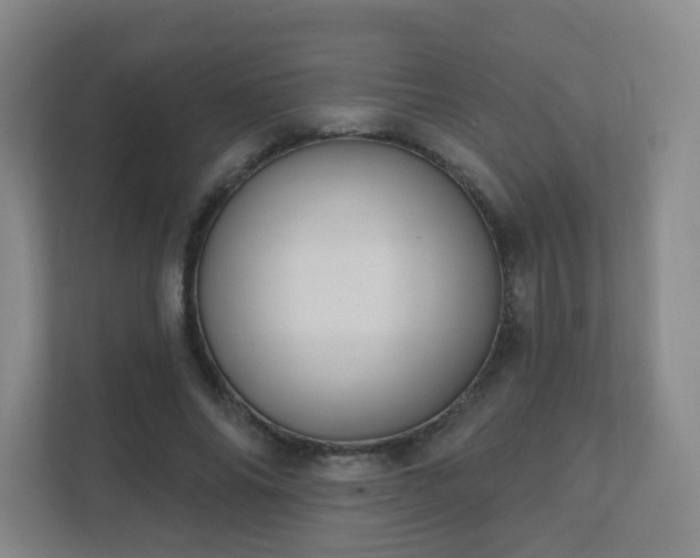 X0000112390686200908201542