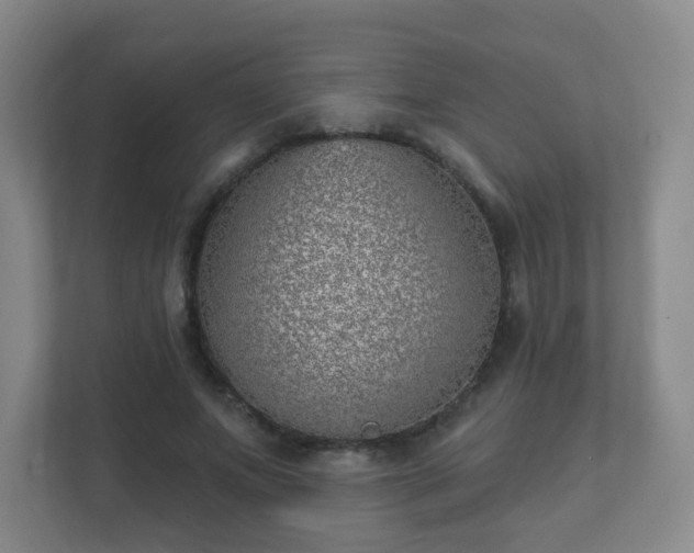 X0000112390687200908201542