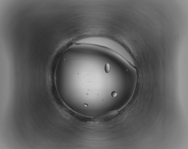 X0000112390688200908201542