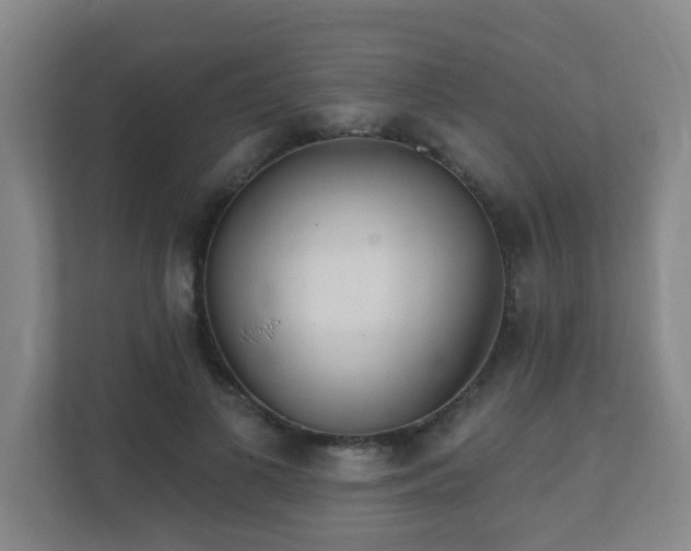 X0000112390693200908201542