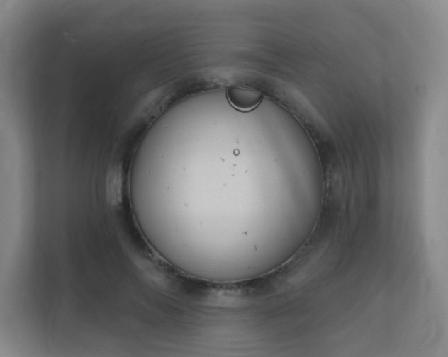 X0000112390694200908201542