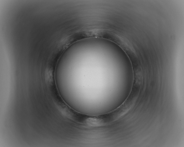 X0000112390699200908201542