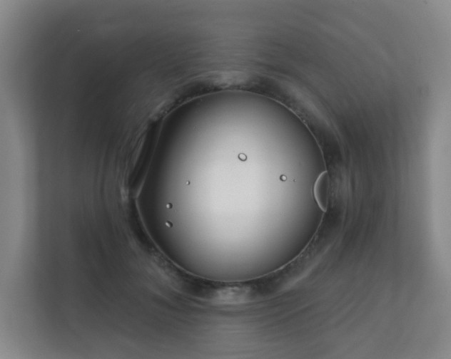 X0000112390700200908201542