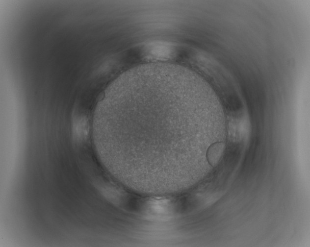 X0000112390701200908201542