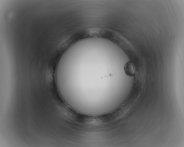 X0000112390702200908201542