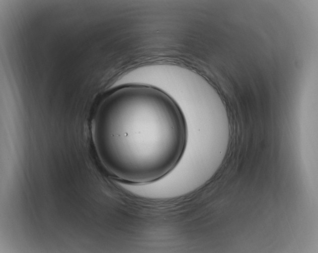 X0000112390704200908201542