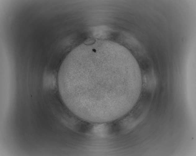 X0000112390705200908201542