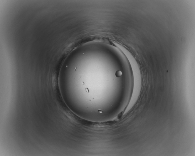 X0000112390708200908201542