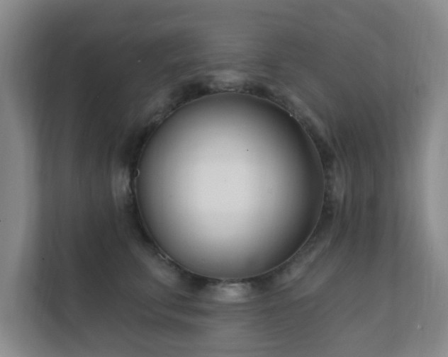 X0000112390711200908201542