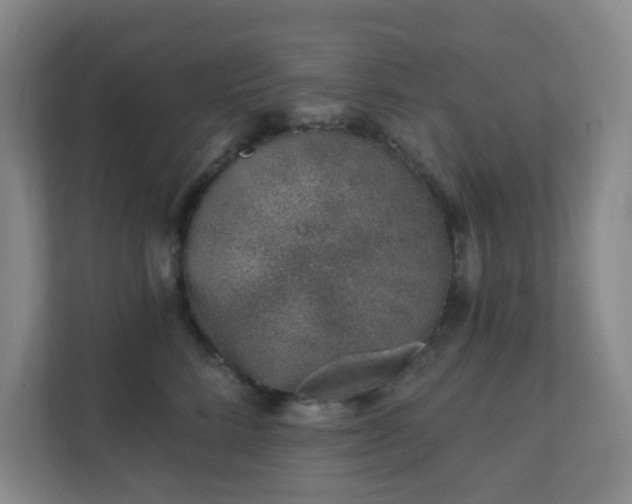 X0000112390712200908201542