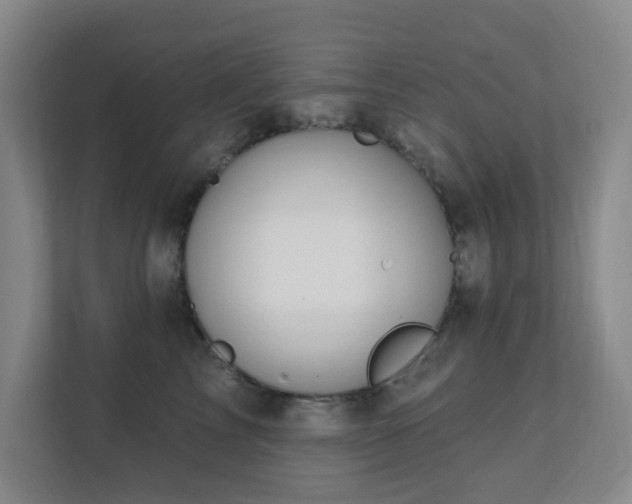 X0000112390713200908201542