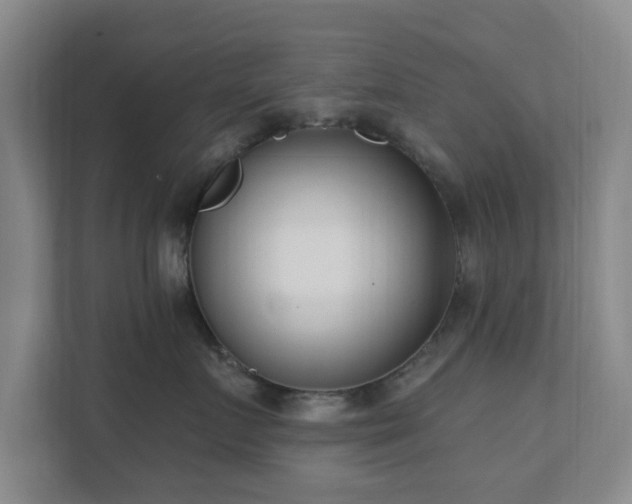 X0000112390719200908201542