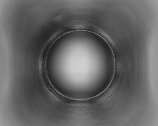 X0000112390722200908201541