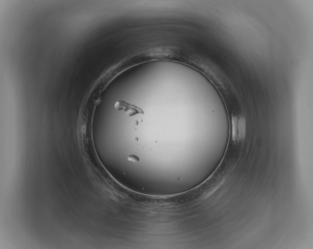 X0000112390723200908201541