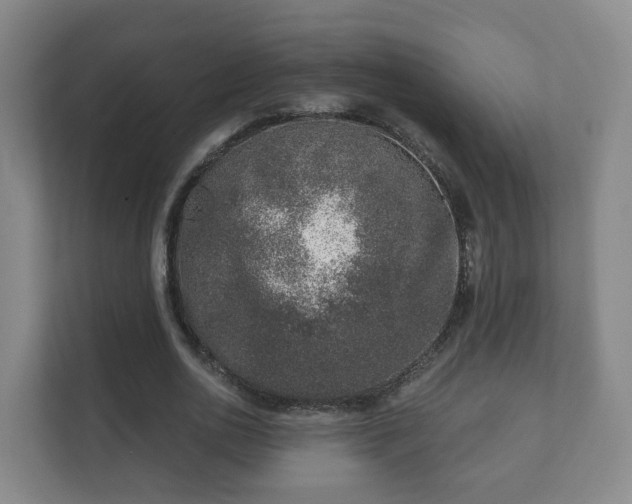 X0000112390726200908201541