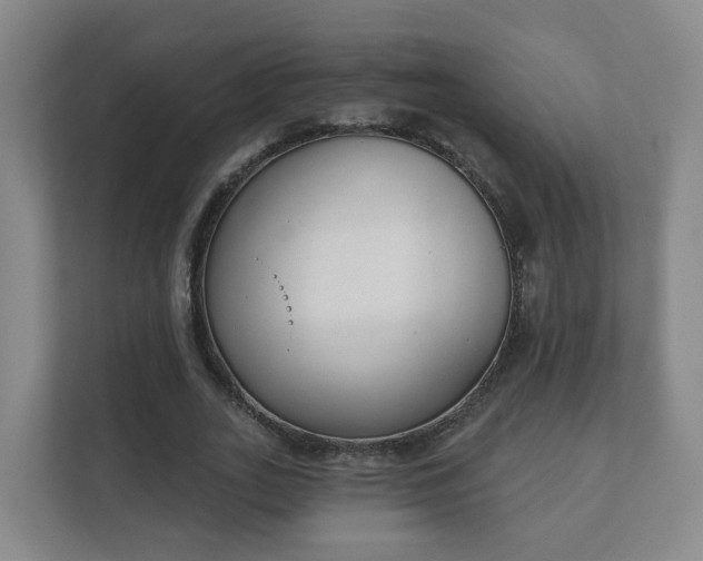 X0000112390727200908201541