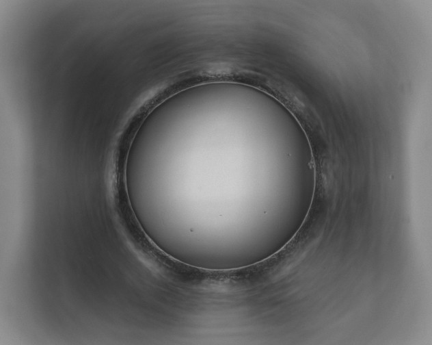 X0000112390728200908201541