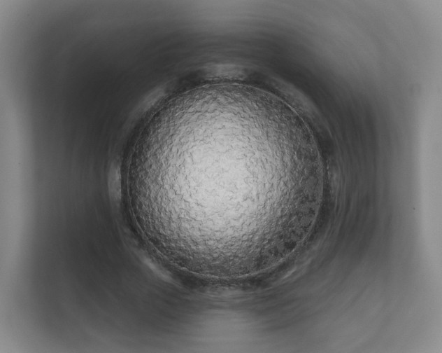 X0000112390729200908201542