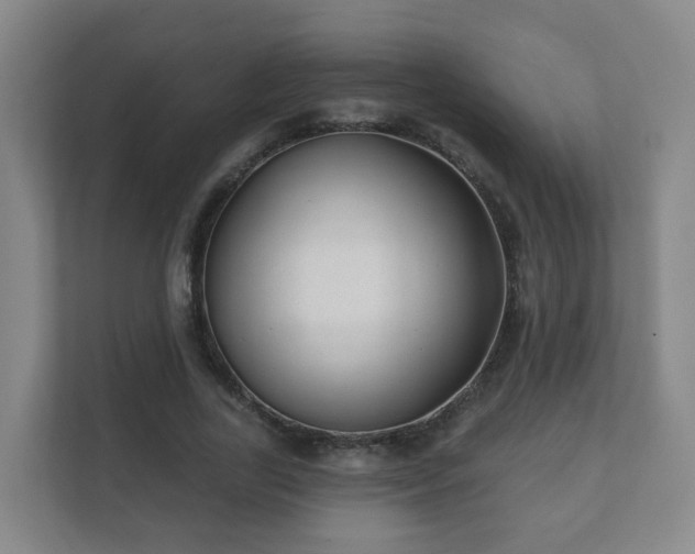 X0000112390731200908201542