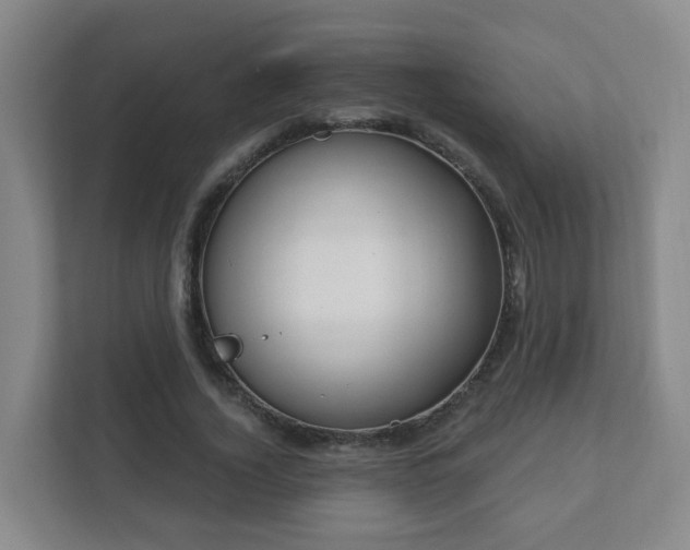 X0000112390732200908201542