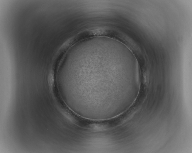 X0000112390733200908201542