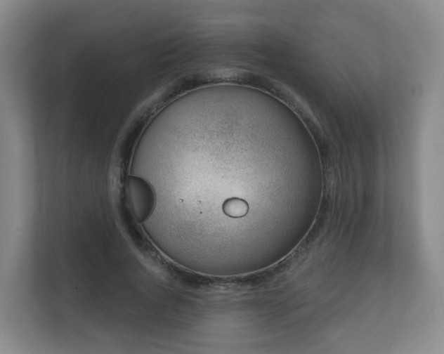 X0000112390736200908201542