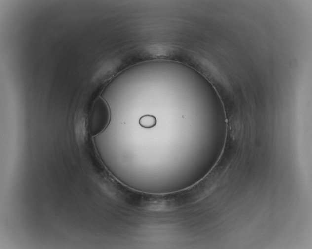 X0000112390740200908201542