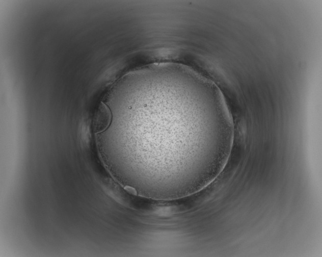 X0000112390746200908201542